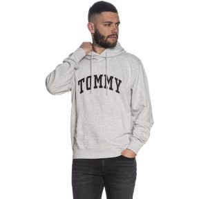 Φούτερ Tommy Jeans DM0DM18401